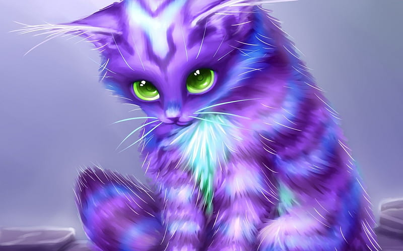 Fantasy Kitty, coat, purple, kitty, cat, eyes, HD wallpaper