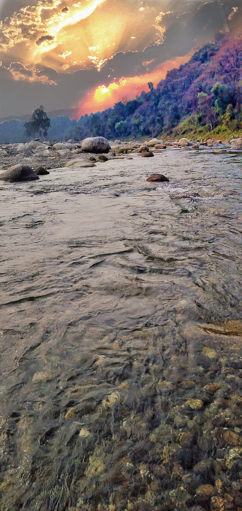Himachal, baijnath, bonito, palampur, river, sunset, HD phone wallpaper