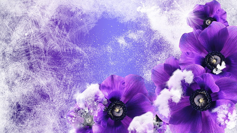 Purple Floral Winter, flowers, poppies, winter, cold, snowing, purple, snow, ice, flowers, ice crystals, frost, HD wallpaper