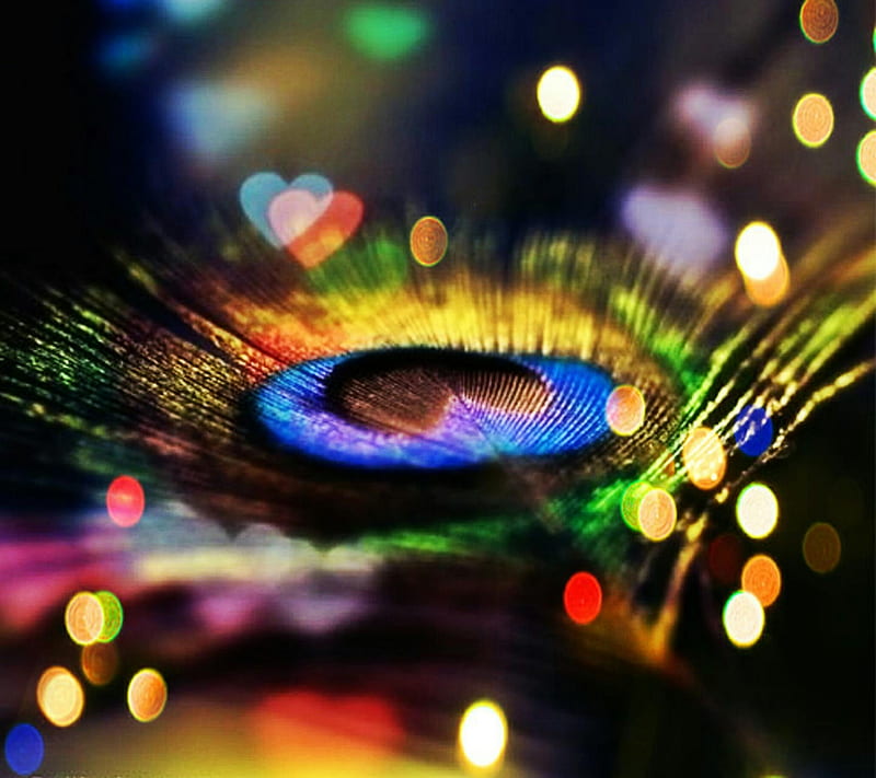 Peacock feather, colorful, feather, glitter, peacock, bokeg, pana, HD wallp...