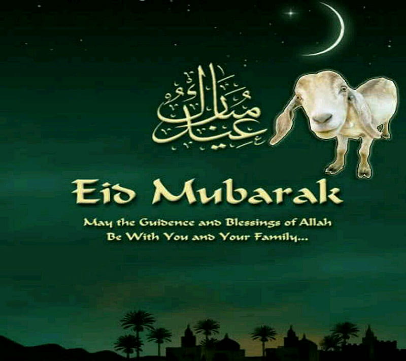 Eid ul Adha Mubarak, bakra eid, eid ul azha mubarak, holy occasion, muslims, HD wallpaper