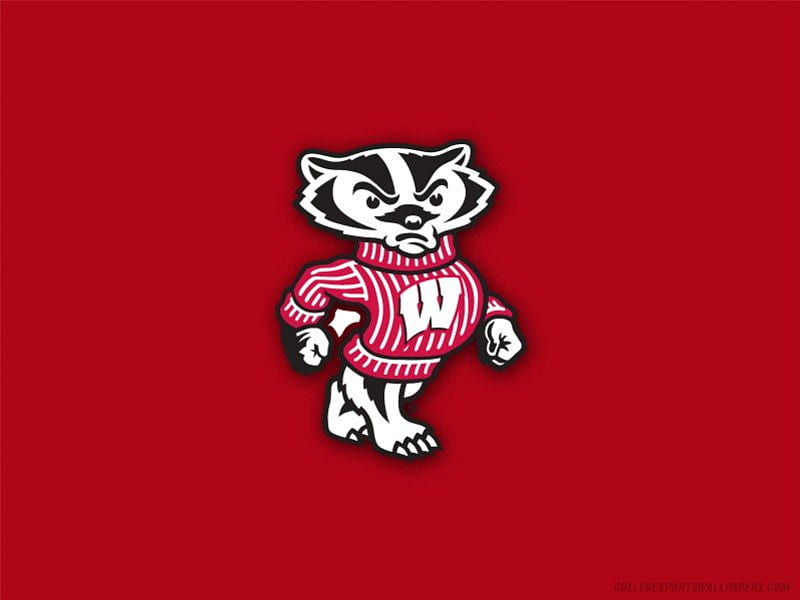 Wisconsin Logo, logo, badgers, teams