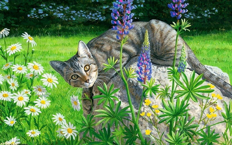 Grey tabby cat, pretty, grass, gray, bonito, camomile, painting, flowers, frshness, playing, art, kitty, tabby, fun, spring, cat, daisies, meadow, field, HD wallpaper