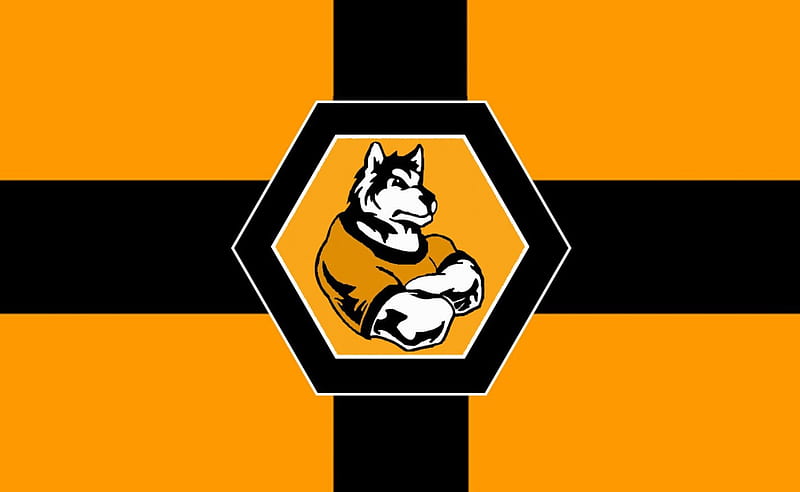 WWFC WOLVES FC, soccer, wolverhampton wanderers, england, wolverhampton, screensaver, wolves fc strong, football, wwfc, wolf, wolves, wanderers, HD wallpaper