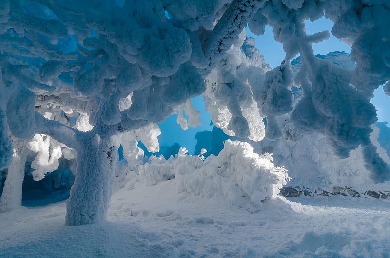 Winter, iarna, blue, snow, ice, siberia, HD wallpaper