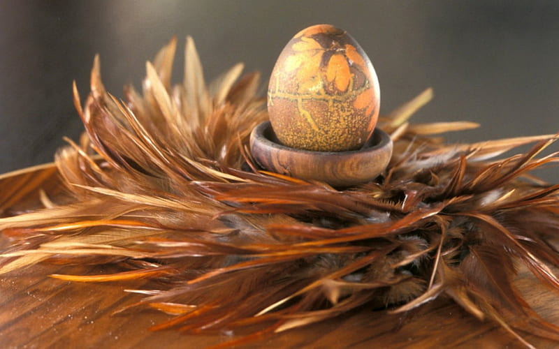 Easter egg, egg, Easter, brown, feathers, HD wallpaper