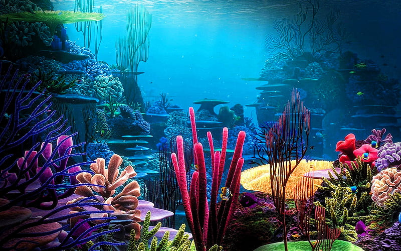Wallpaper Underwater 3d Hd Image Num 9