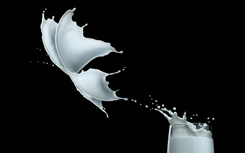 milk butterfly, milk glass, splash, butterfly, black, drops, milk, white, abstract, HD wallpaper