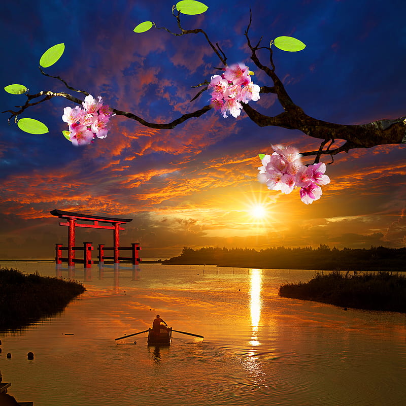 Japanese Evening, beautiful sunset, fishing boat, sakura tree, sea, water, HD phone wallpaper