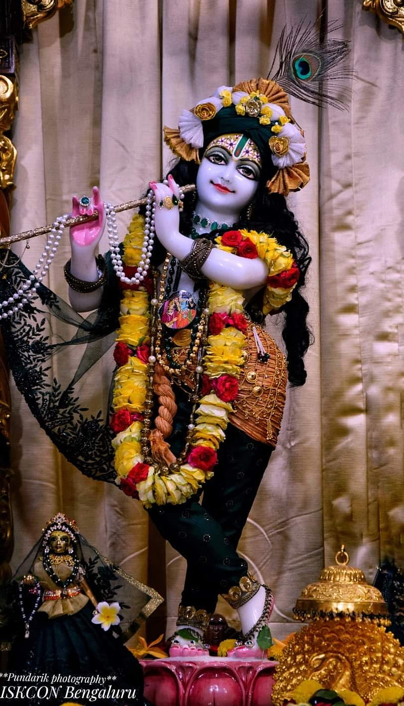 Krishna, radhakrishnan, hare krishna, india, radharani, HD phone ...