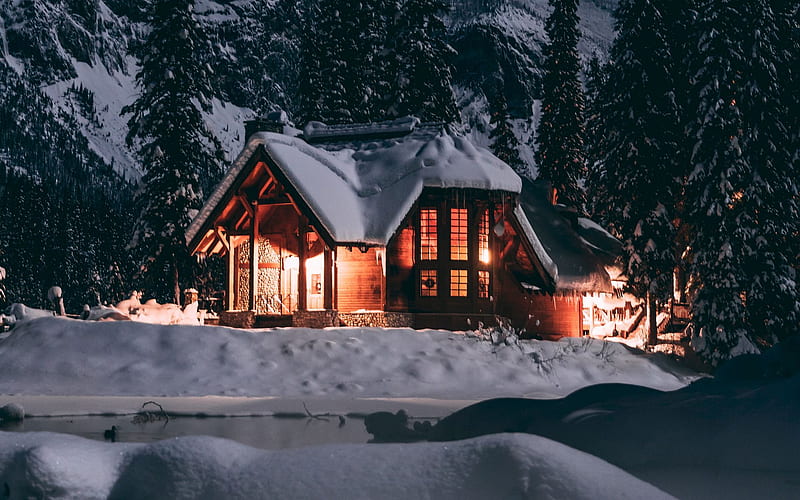 house, winter, snow, night, trees 16:10 background, 1920X1200 Winter, HD wallpaper