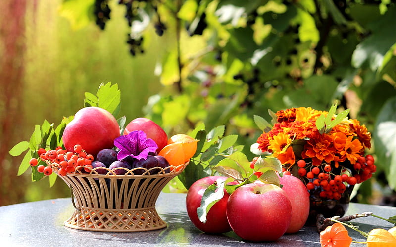 Autumn, apple, red, orange, fruit, still life, green, basket, flower, HD wallpaper