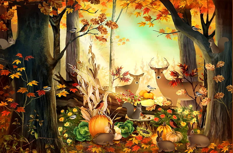 Thanksgiving !, pretty, colorful, forest, autumn, harvest, lovely, bonito, panorama, thanksgiving, tree, splendor, pumpkin, magical, color, animals, HD wallpaper