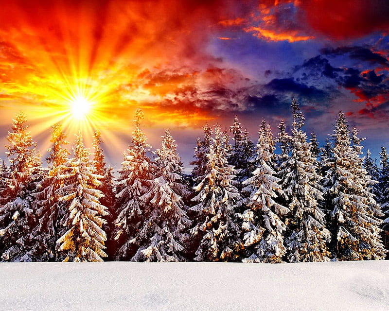 Winter sunset, red, pretty, glow, orange, dazzling, covered, bonito, sunset, clouds, mountain, sundown, nice, sunrise, reflection, lovely, golden, sky, trees, winter, rays, snow, slope, nature, HD wallpaper
