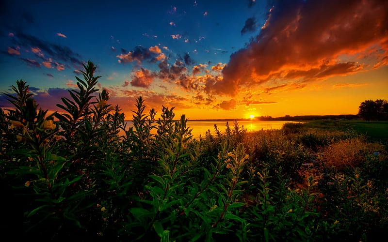 Sunset sky, amazing, shore, bonito, sunset, sky, clouds, lake, plants ...