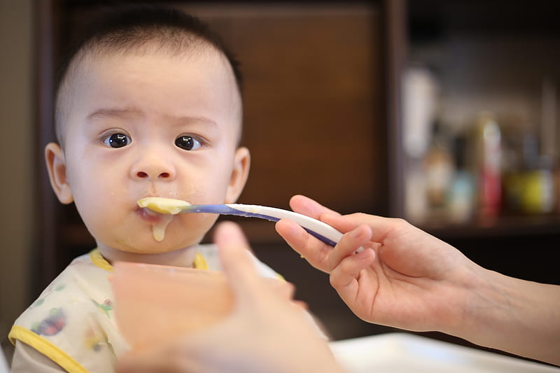 person feeding baby, HD wallpaper