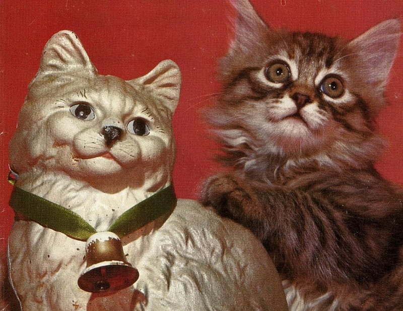 Christmas Cats, cute, feline, christmas, ribbon, bell, cat, HD wallpaper