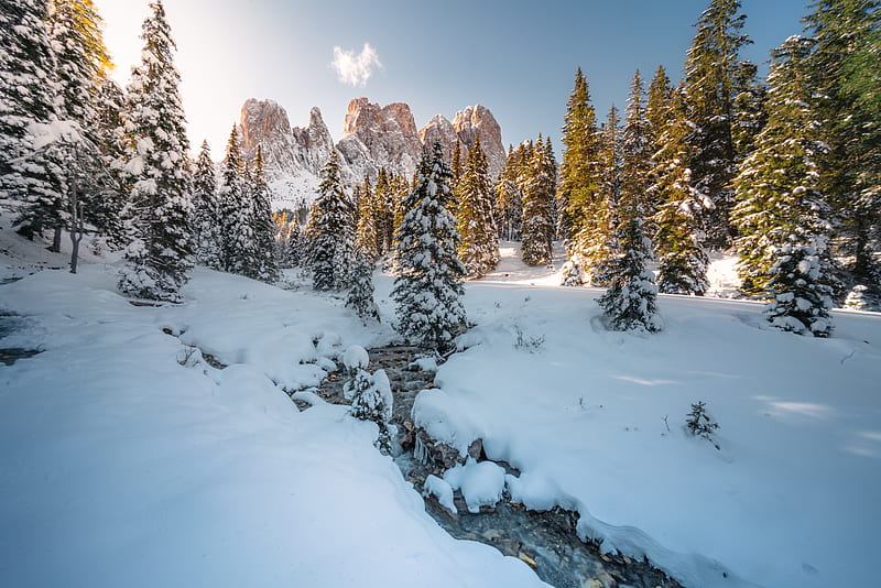 stream, trees, mountain, snow, winter, HD wallpaper