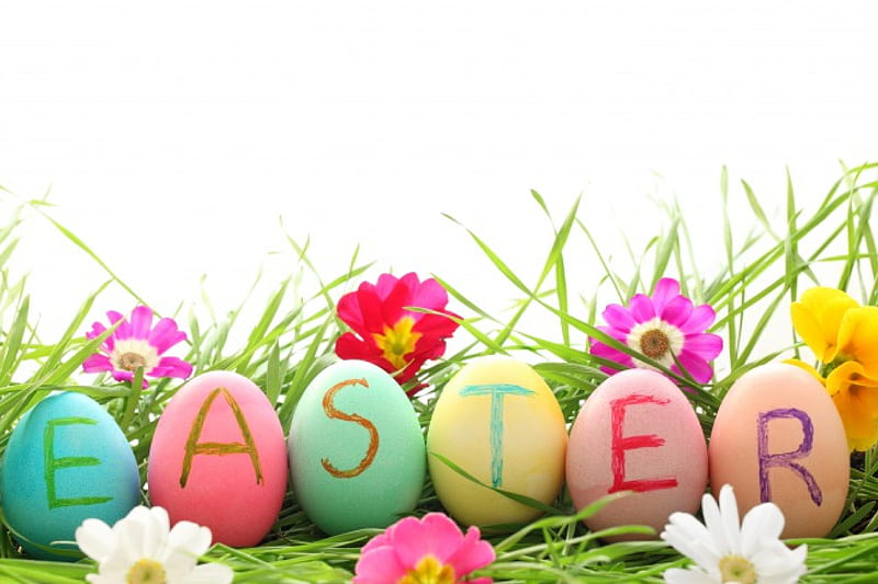 Easter, spring time, easter eggs, spring, daisies, eggs, flowers, nature, happy easter, daisy, HD wallpaper