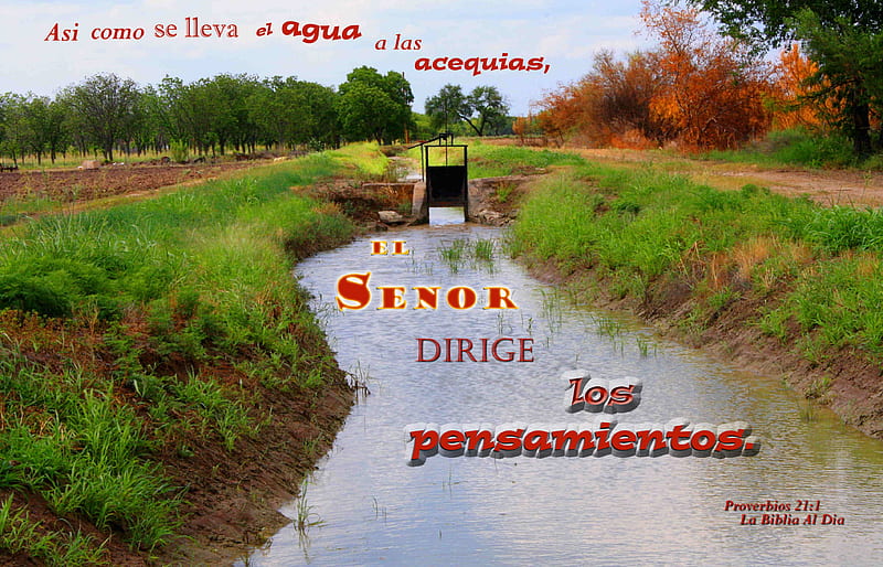 El Senor Dirige Los Pensamientos, canal, gate, water, grass, Bible, irrigation, bushes, HD wallpaper