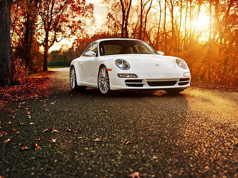 Porsche 911 Autumn, Autumn, Road, 911, Porsche, HD Wallpaper | Peakpx