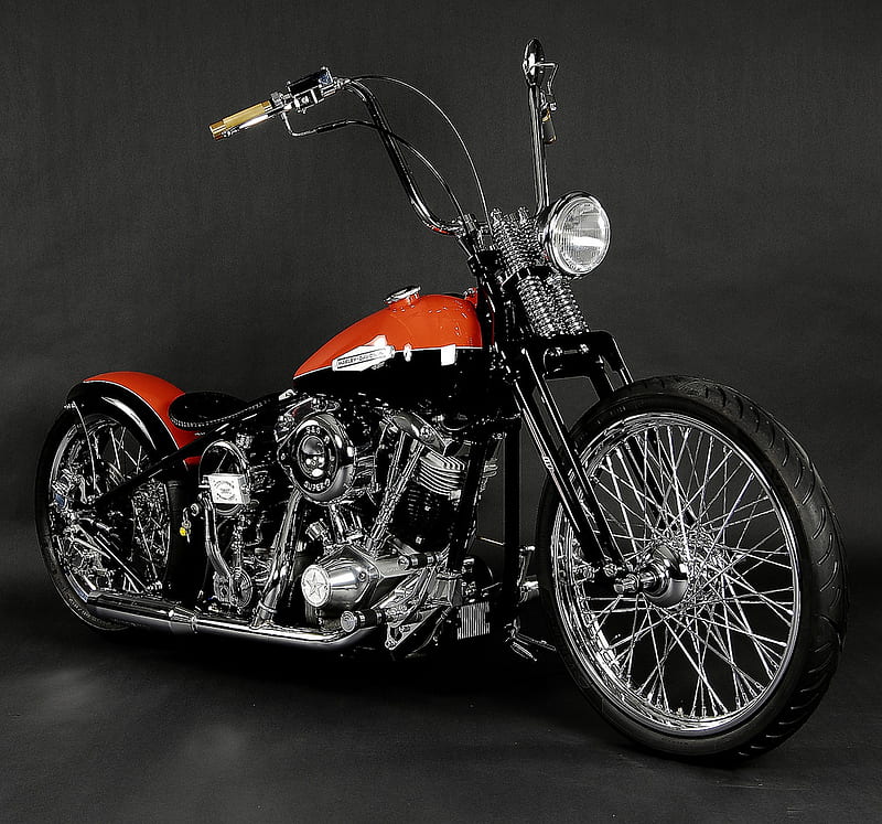 Two Tone Harley Davidson, motorcycles, harley davidson, bike, chopper, HD wallpaper