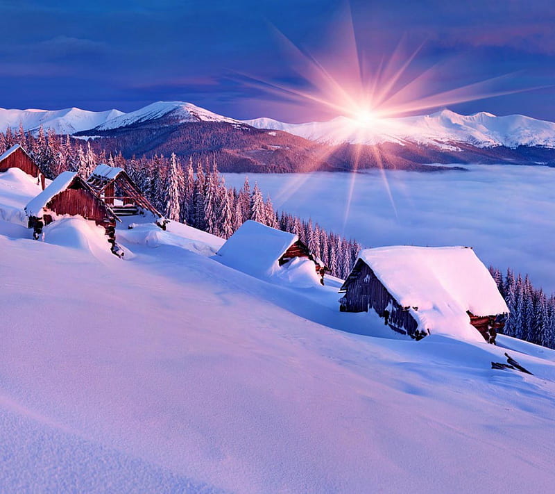 Majestic Winter, look, nice, HD wallpaper | Peakpx