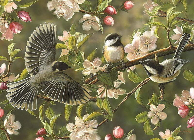 Chickadees, blossoms, puzzle, nature, HD wallpaper Chickadees, blossoms, puzzle, nature, HD wallpaper