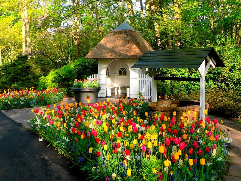Park, Colorful, Spring, Tulip, Netherlands, , Well, Amsterdam, Keukenhof, HD wallpaper