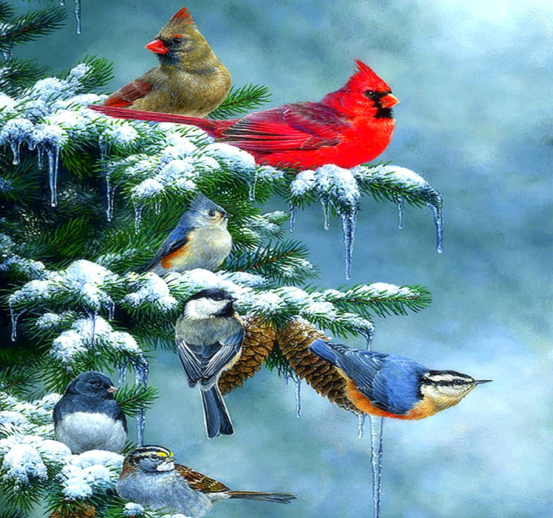 ★Christmas Cardinals★, pretty, holidays, attractions in dreams, bonito, digital art, xmas and new year, greetings, cardinals, paintings, drawings, lovely, love four seasons, birds, creative pre-made, trees, winter, happy, holy, winter holidays, branches, celebrations, HD wallpaper