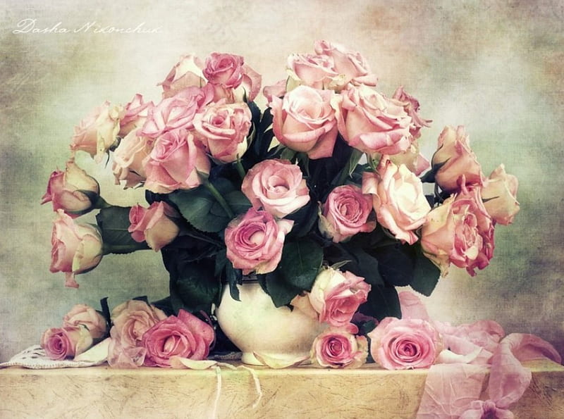 Softer roses