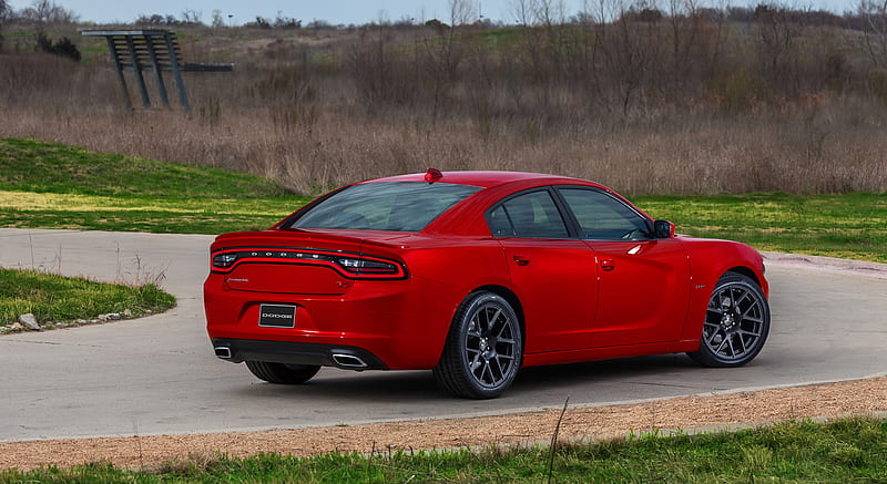 2015 Dodge Charger - Rear, car, HD wallpaper | Peakpx