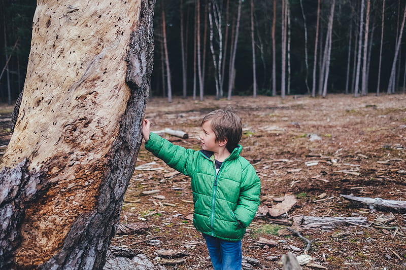 boy wearing green bubble zip-up jacket holding tree trunk, HD wallpaper