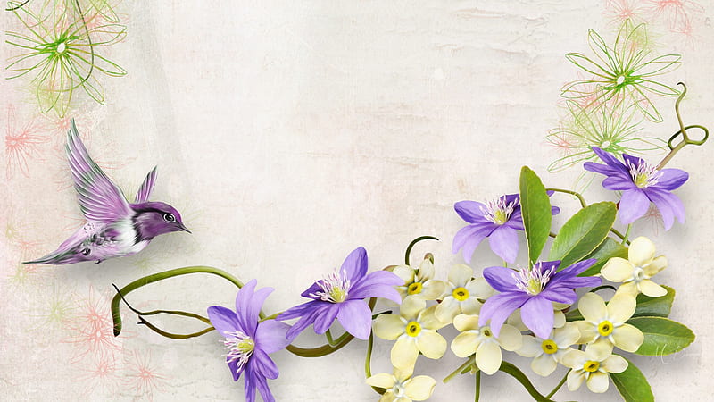 Purple Summer, delicate, Firefox theme, summer, flowers, plumeria, hummingbird, spring, HD wallpaper