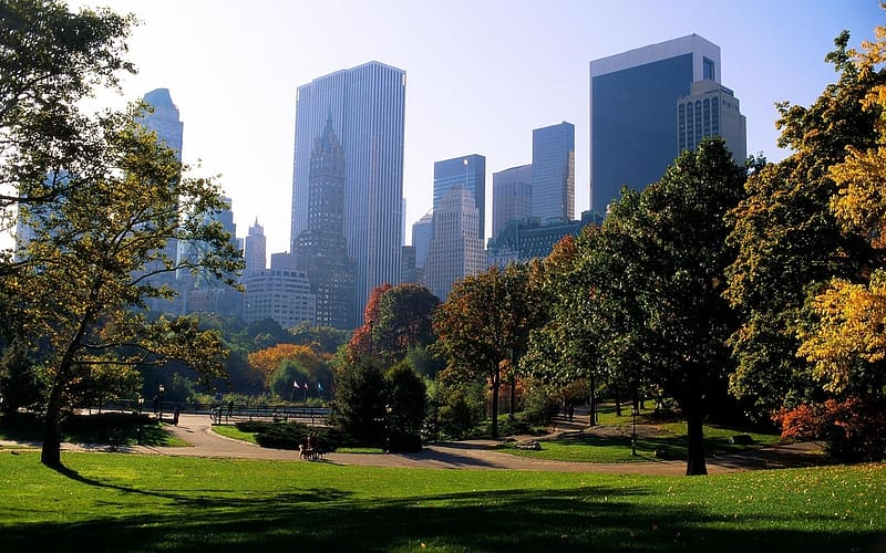 Cities, Nature, City, Fall, New York, Manhattan, Central Park, Season, HD wallpaper
