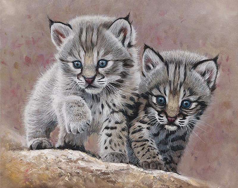 Bobcat Babies, young, bobcat, cats, animal, painting, HD wallpaper