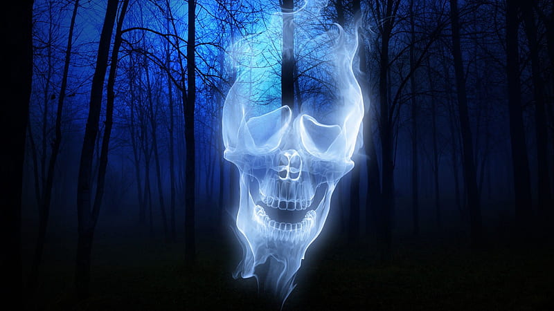 Forest Ghost Skull, nature, forests, ghosts, halloween, HD wallpaper |  Peakpx