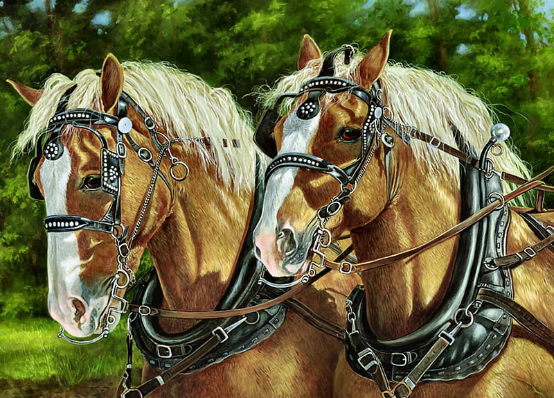 Draft Horse Team F2, draft, art, palomino, hitch, equine, horse, artwork, animal, harnessed, painting, wide screen, HD wallpaper