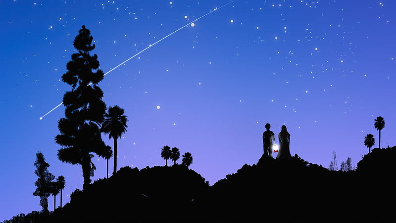 Couple At Starrty Night Watching Stars And Meteorite , couple, love, artist, artwork, digital-art, HD wallpaper
