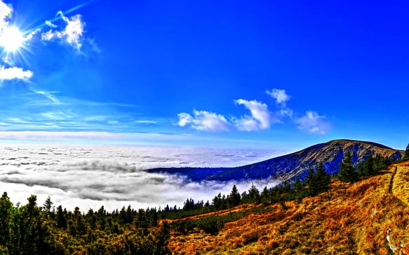 MOUNTAIN CLOUDS, mountain, forest, sun, Czech Republic, Giant Mountains National Park, clouds, HD wallpaper
