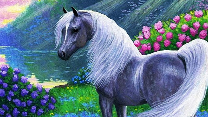 Pferd, rose, Lila, Deutschland, HD wallpaper