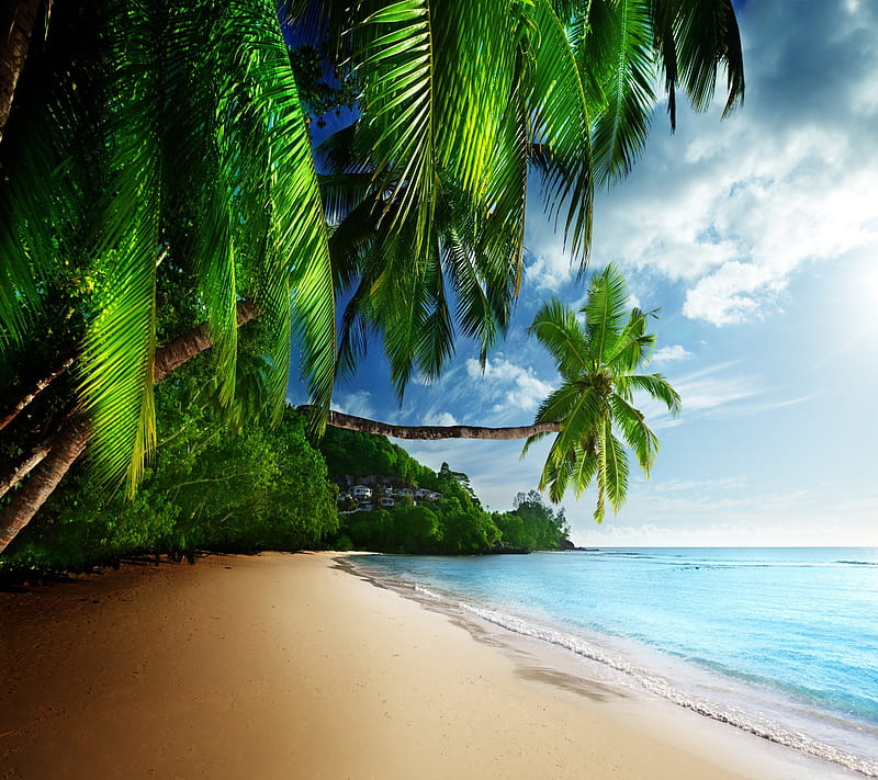 1080P free download | Tropical Beach, nature, paradise, sea, sky, HD ...