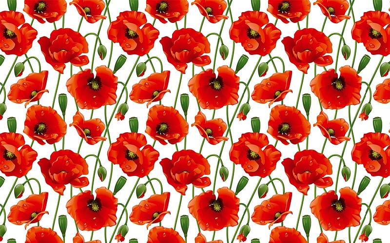 Poppy Pattern, pattern, flowers, vector, poppies, HD wallpaper