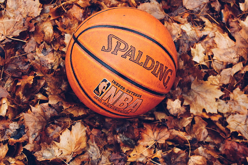 orange Spalding basketball on dried leaves, HD wallpaper