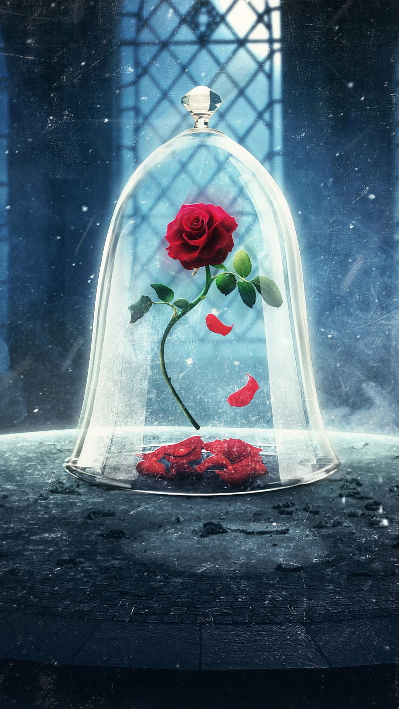 Rose in crystal cage, fantasy, floral, love, petals, red rose, single, HD phone wallpaper