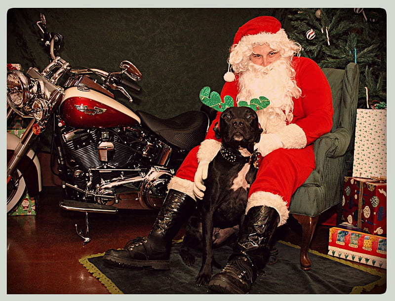 All I Want For Christmas, santa, harley, motorcycle, dog, HD wallpaper