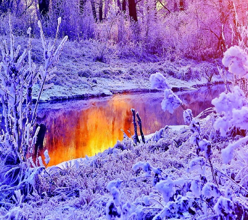 Purple Frozen River, lovely, yellow, bonito, trees, winter, cute, water ...