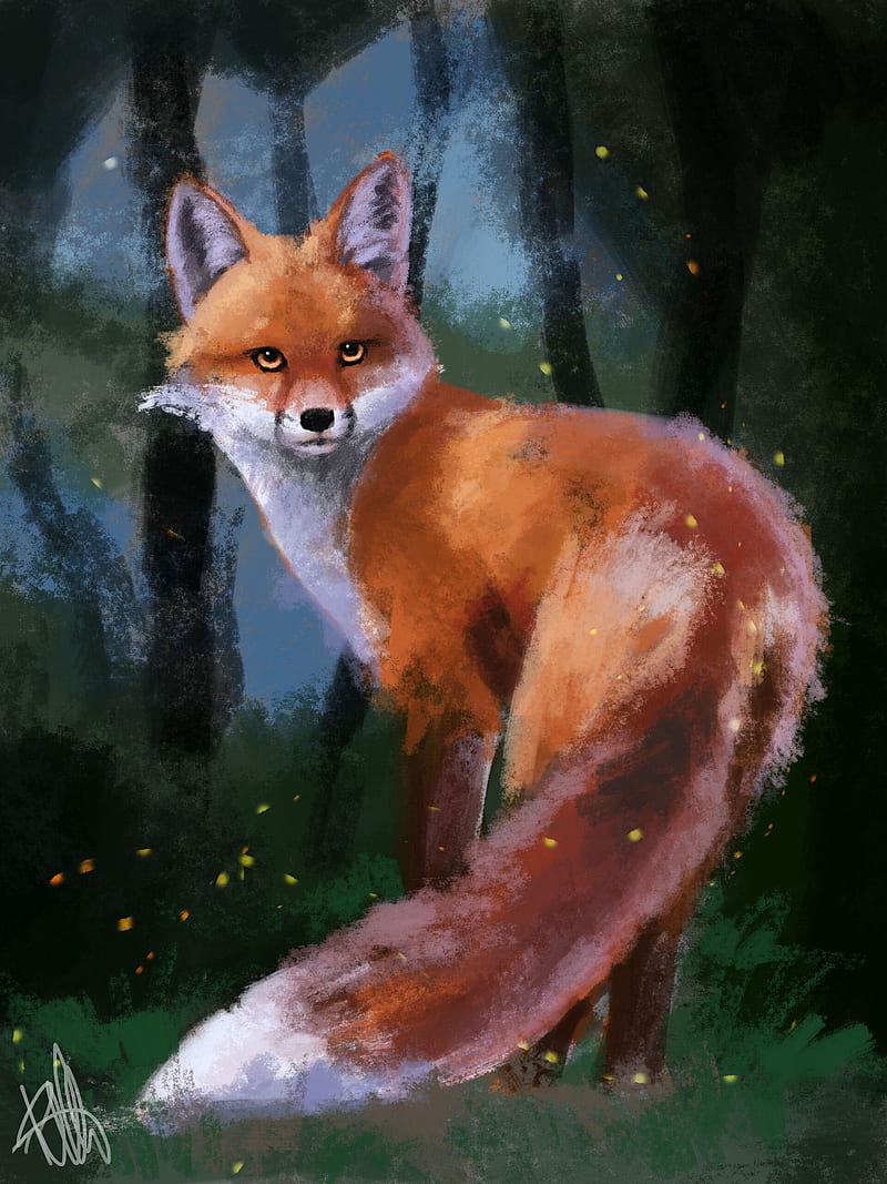 fox, glance, animal, forest, art, HD phone wallpaper