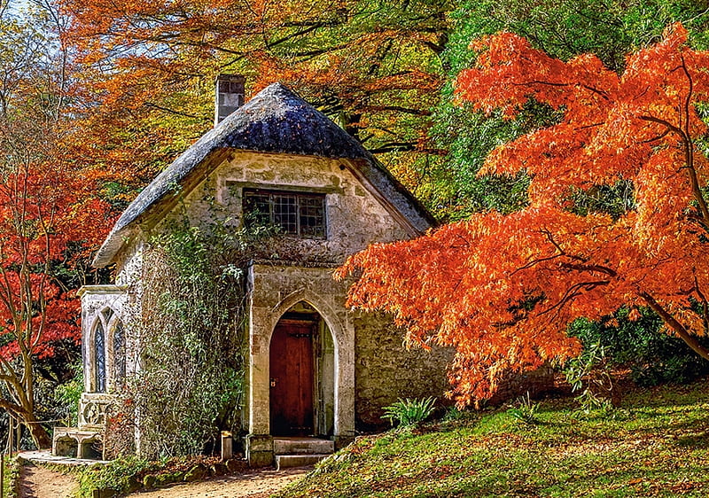 Gothic House in Autumn, colors, nature, leaves, trees, HD wallpaper