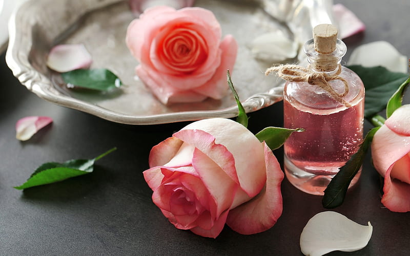 Scent to roses, perfume, oil, rose, the spa, petals, pink, pink roses, HD wallpaper